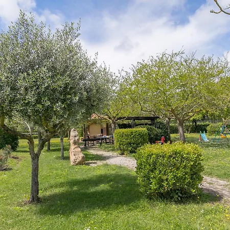 Farm stay Il Girasole - Corbezzolo
